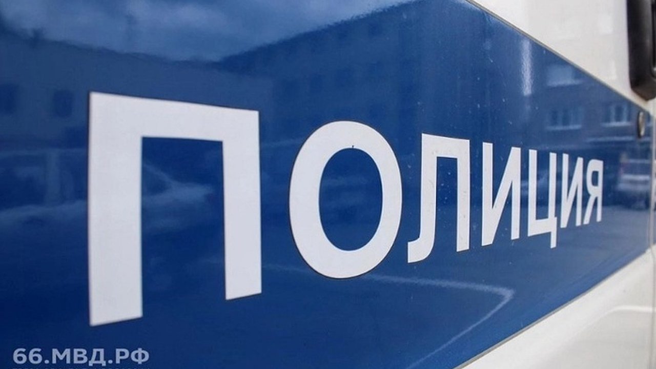 Главная картинка новости: В Екатеринбурге неизвестные сожгли полицейский автомобиль