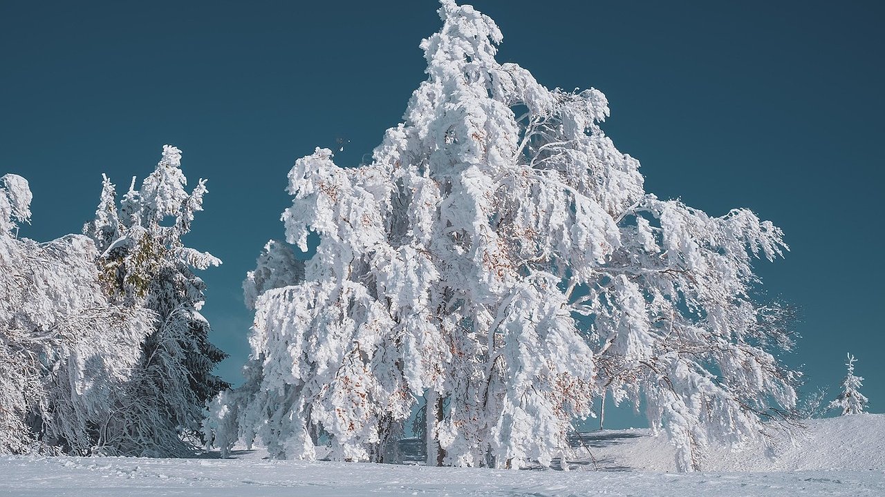 Главная картинка новости: «Информация по январю шокирующая». Синоптики сказали, к чему готовиться в середине зимы