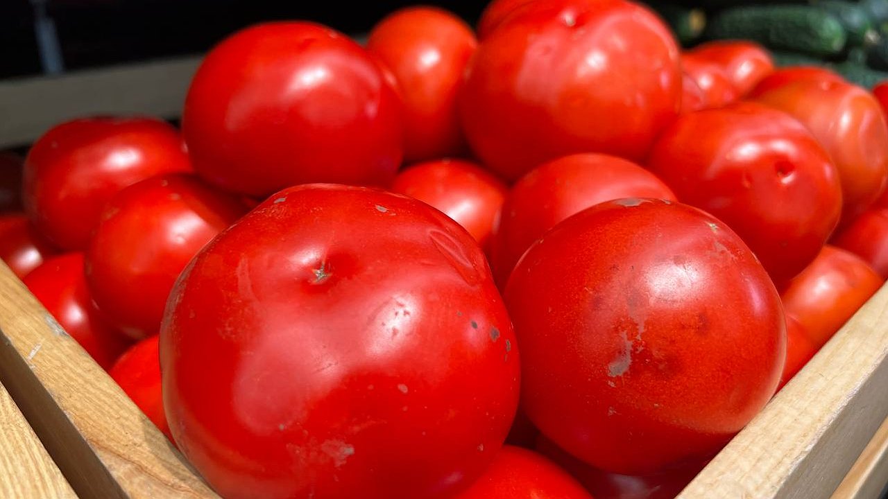 Главная картинка новости: Не требуют пасынкования и не боятся фитофторы: такие помидоры активно растут даже на Севере