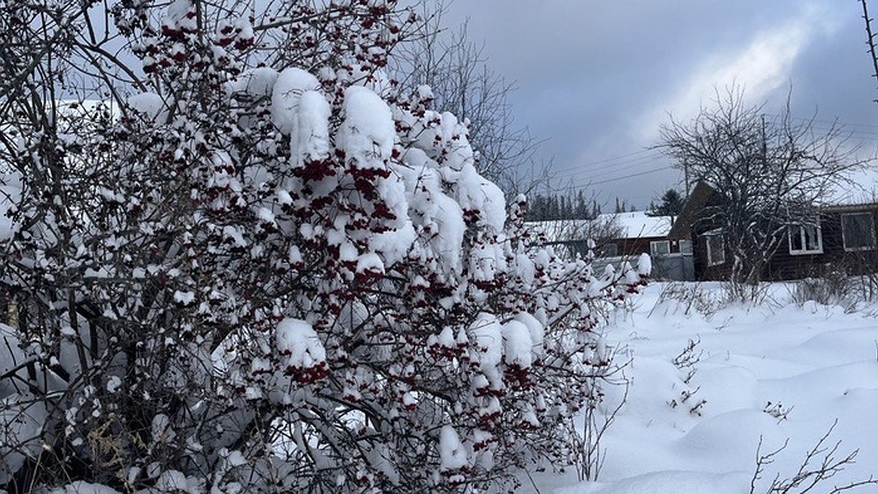 Главная картинка новости: Свердловская область готовится к зиме: похолодание и снегопады на горизонте