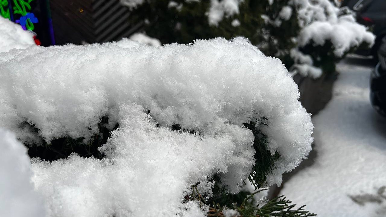 Главная картинка новости: Грядут жуткие морозы: свердловские синоптики предупредили о сильном похолодании