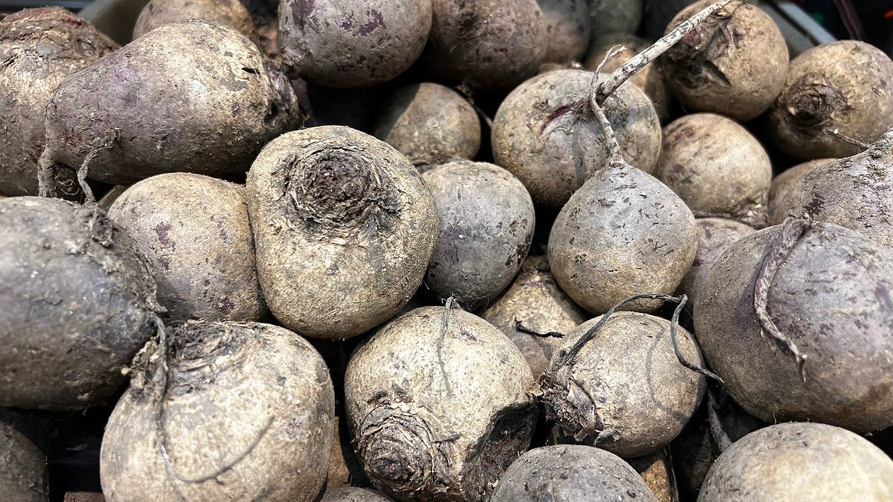 Главная картинка новости: Рецепт сытного салата со свеклой: такой вкусный, что у домашних только за ушами трещит