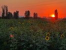 Такие курорты с легкостью затмят Анапу — цены ниже и воздух чище