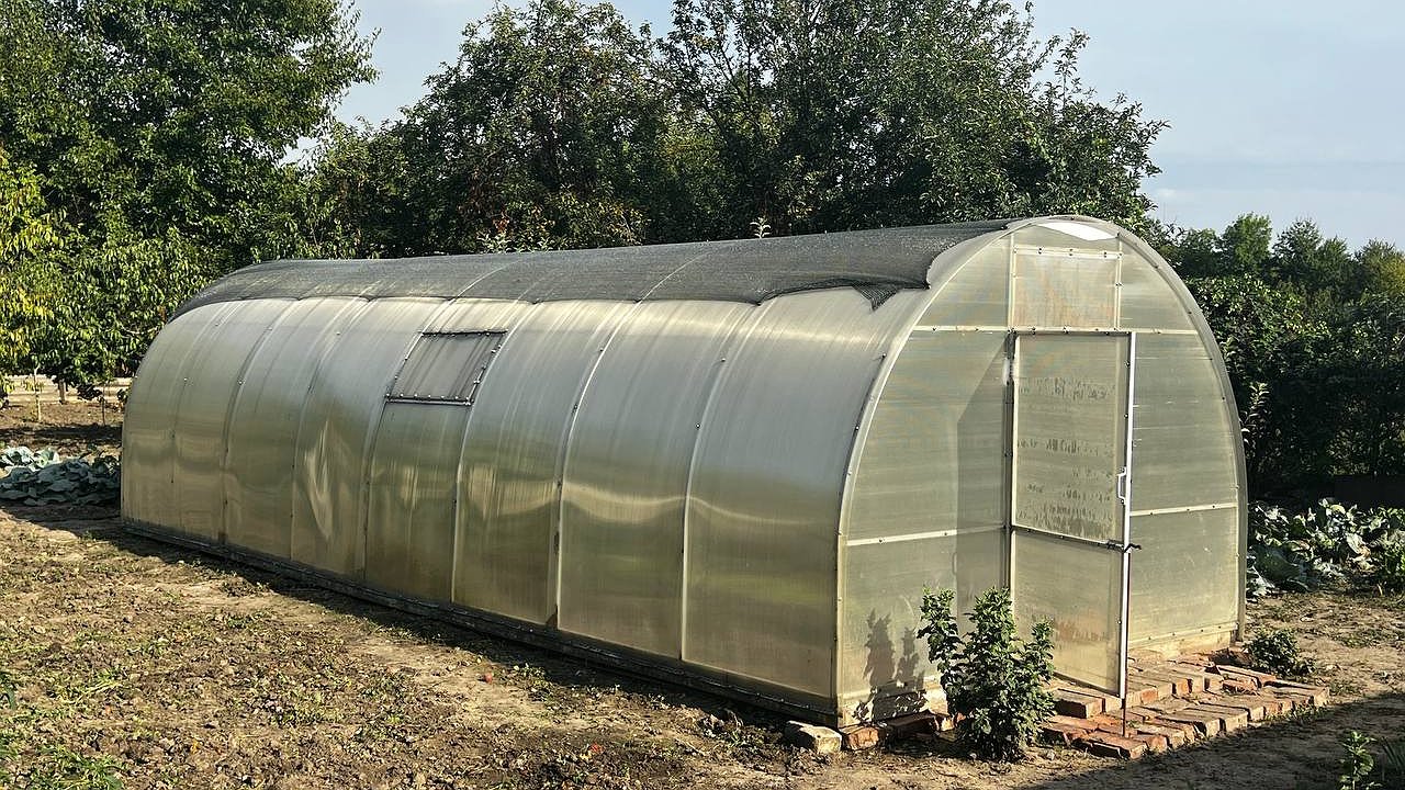 Главная картинка новости: Почва станет мягче ваты: всего 2 стакана таких хлопьев - и невероятный урожай обеспечен