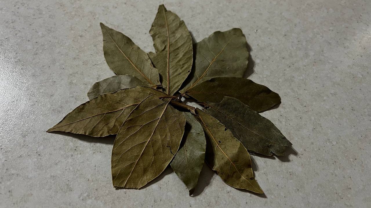 Главная картинка новости: Теперь знаю, зачем нужно класть лавровый лист под коврик у входа в дом — секрет специалиста