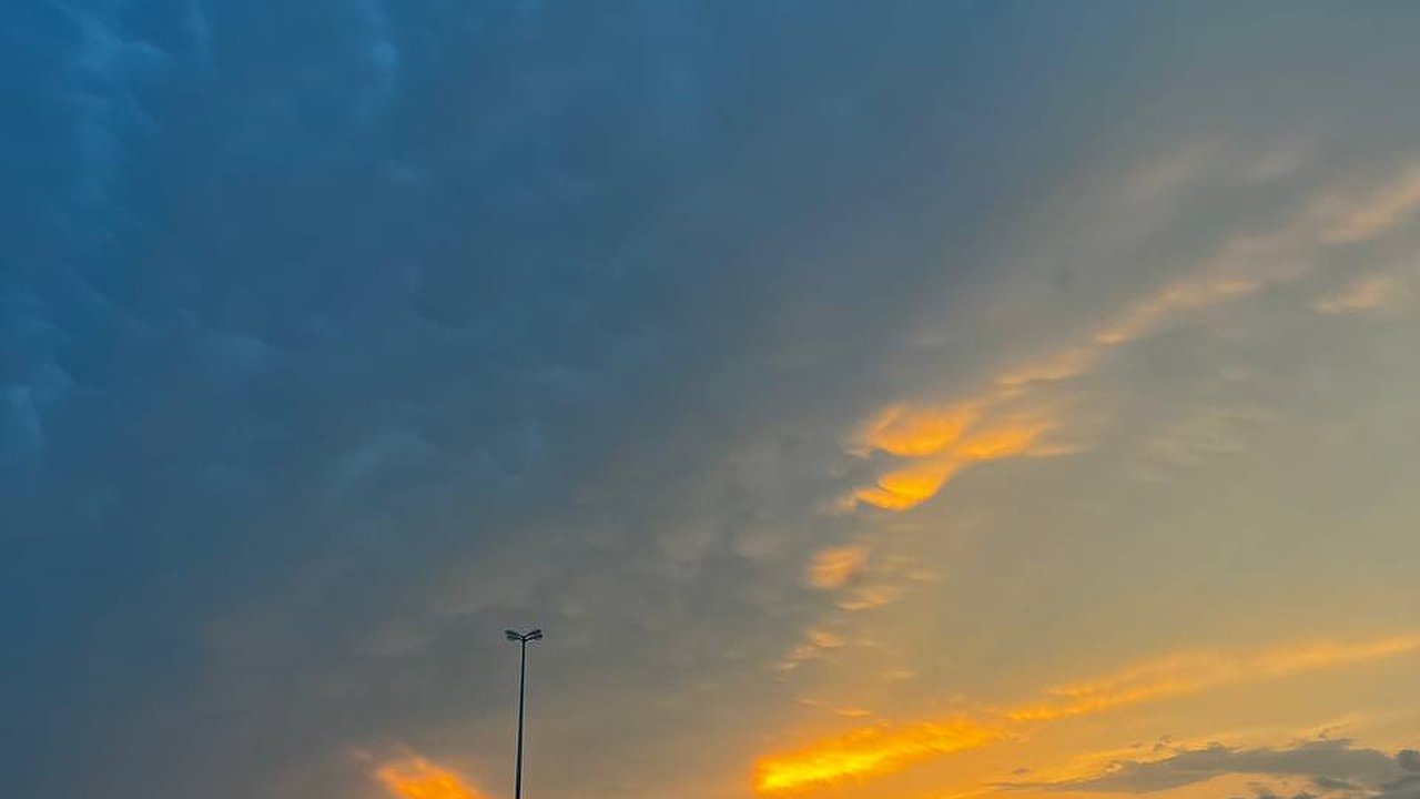 Главная картинка новости: В марте водителям надо срочно менять права категории B, даже если срок не истек - вот в чем дело