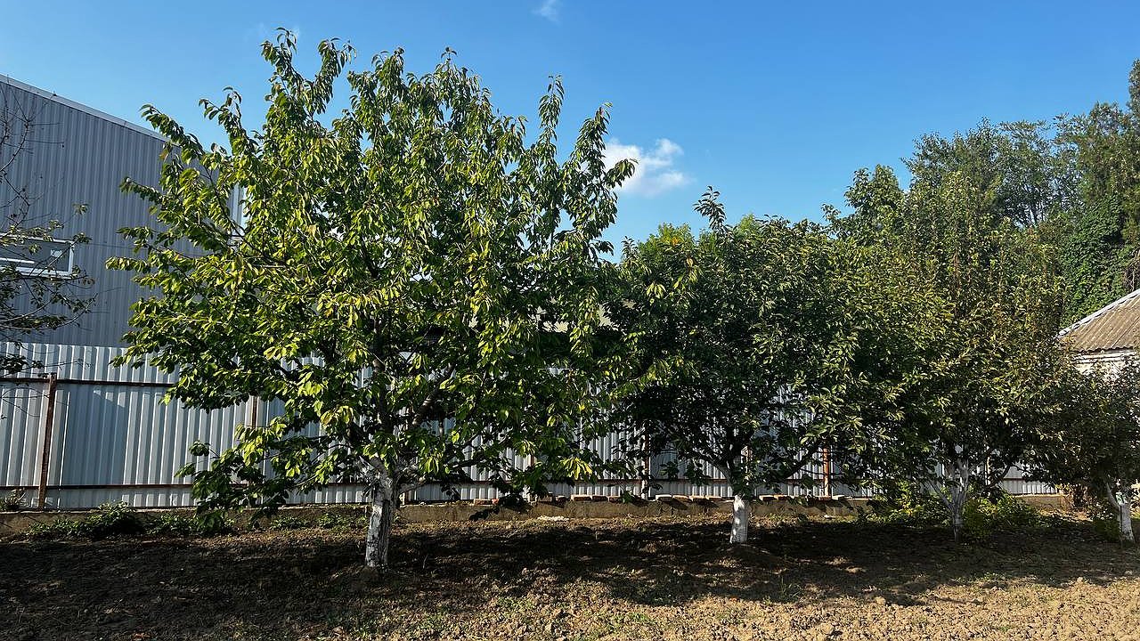 Главная картинка новости: В марте будут забирать землю: всех собственников участков и дач ждет новое правило