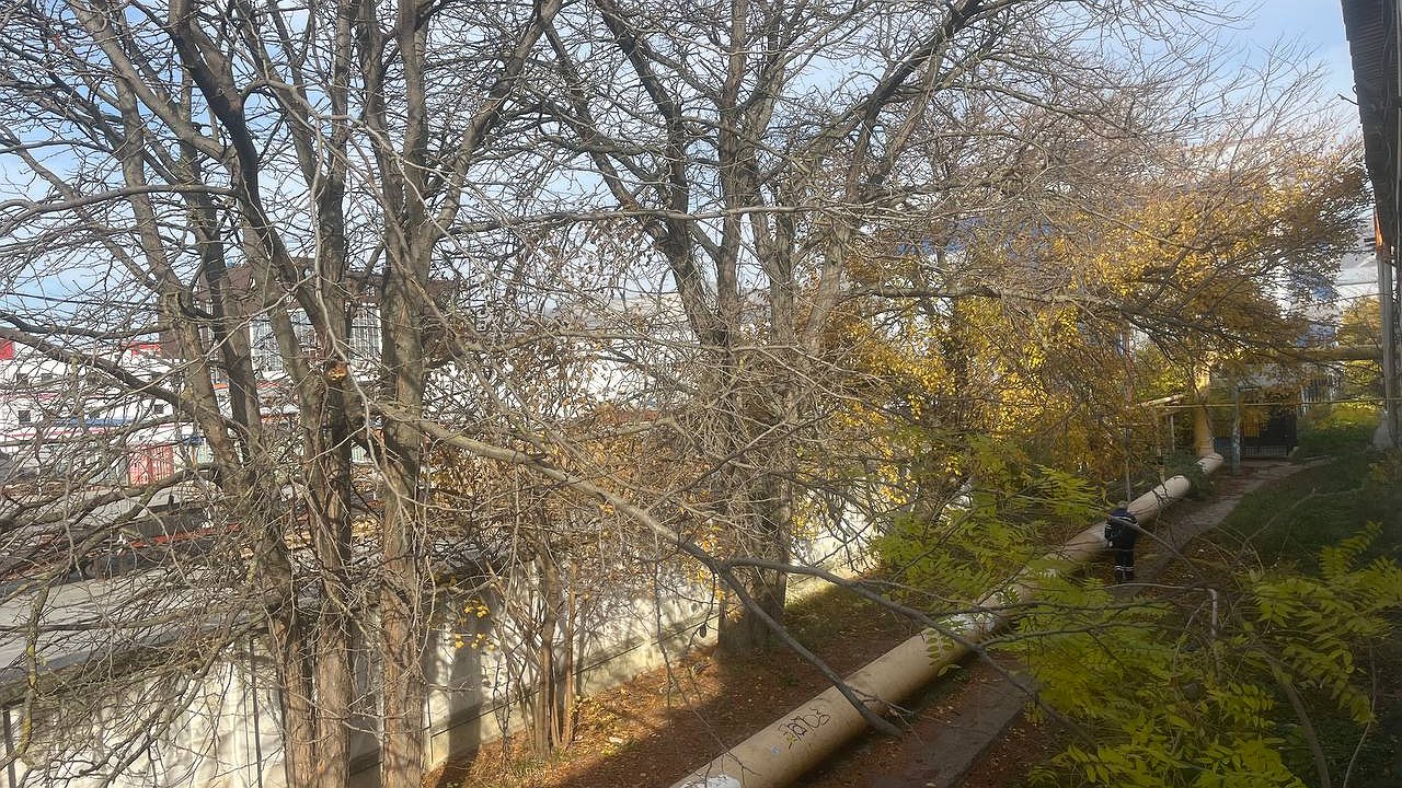 Главная картинка новости: Жара придет незаметно: синоптик Вильфанд назвал точную дату расцвета весны