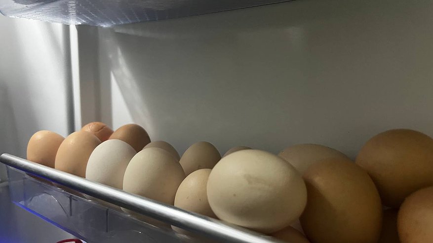 Главная картинка новости: Лотки из-под яиц забираю на дачу - соседи шокированы, узнав о том, как я их использую