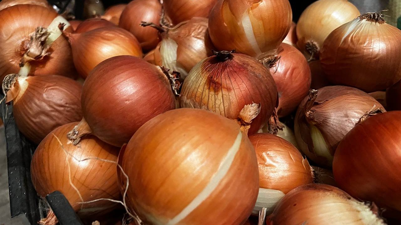 Главная картинка новости: Каждая головка по 500 грамм: эксперт назвал 3 важных правила выращивания лука — урожаем будете снабжать всю округу
