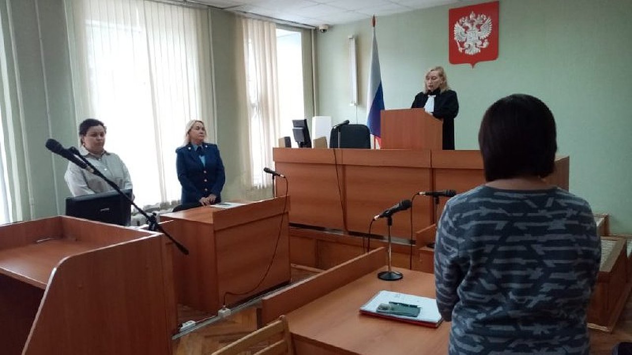 Главная картинка новости: Жителя Алапаевска осудили за жестокое обращение с кошками