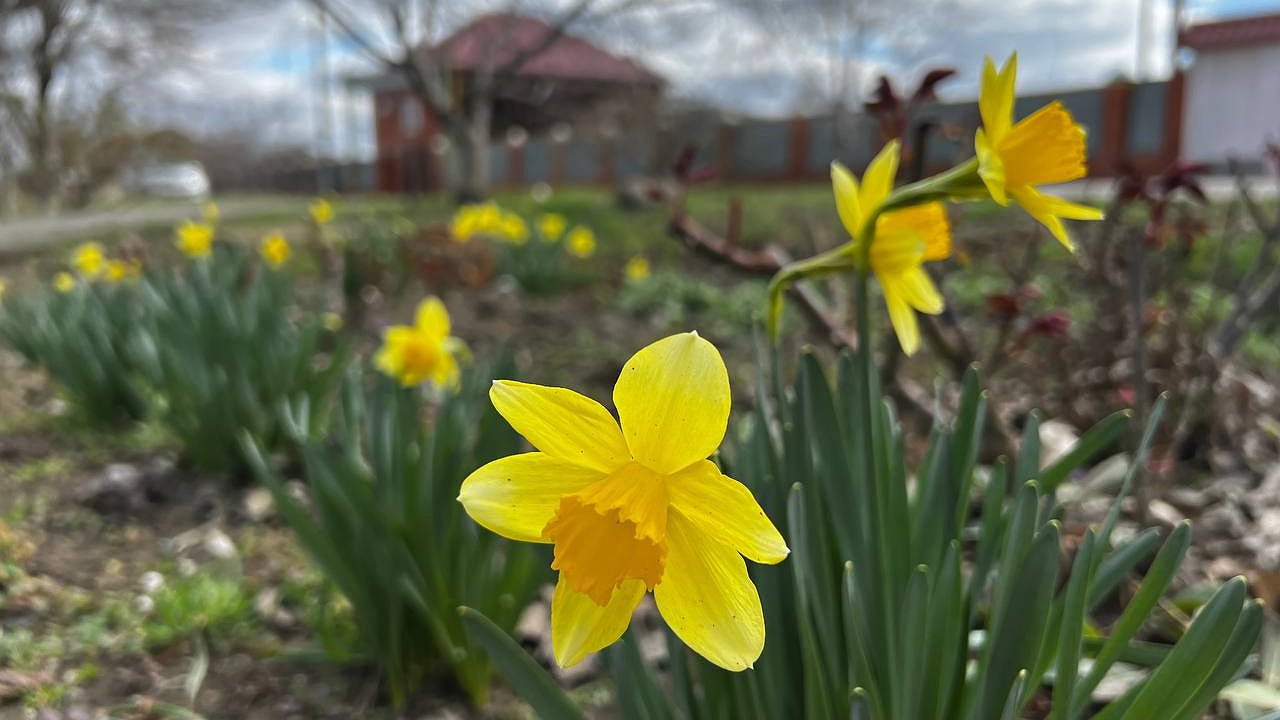 Главная картинка новости: Жара в марте, апрельские холода и капризный май: синоптики прогноз на весну