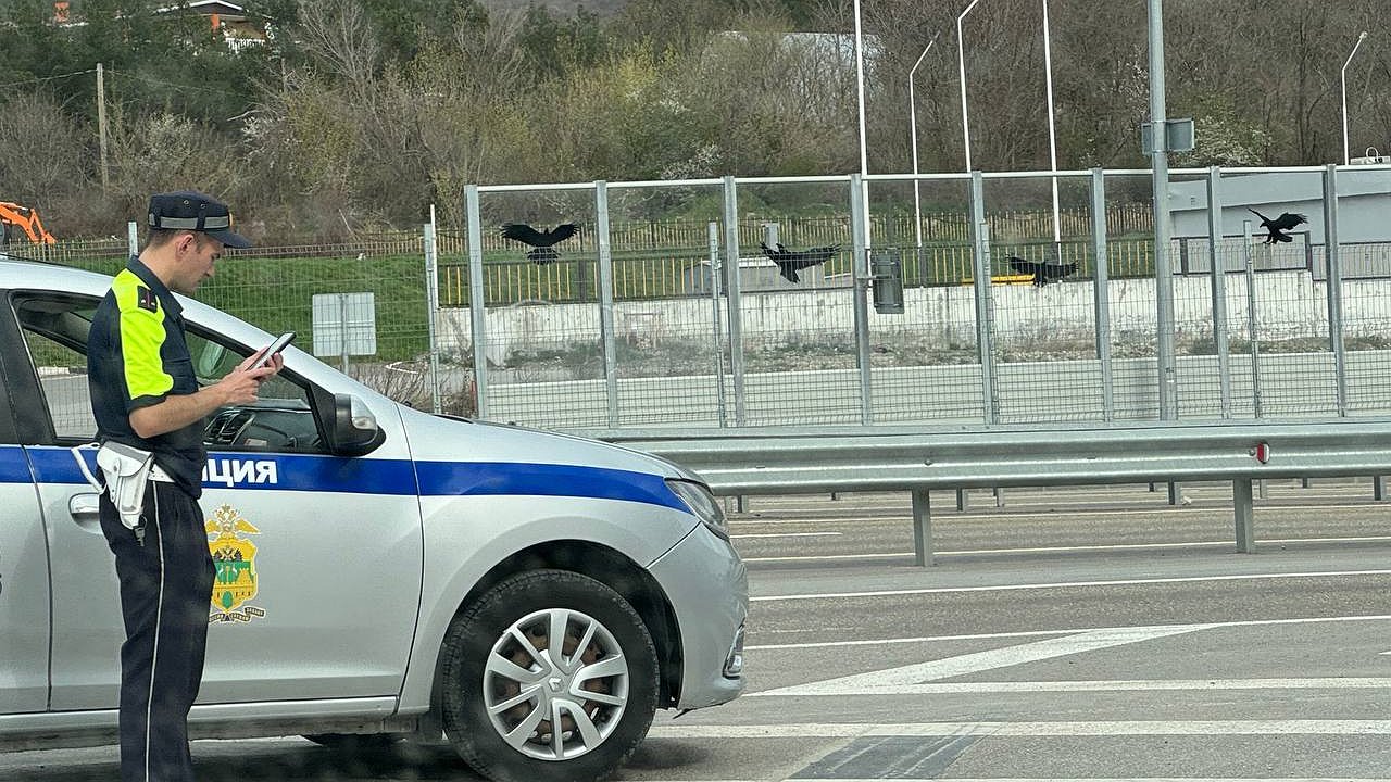 Главная картинка новости: С 31 марта каждому автомобилисту выпишут штраф 500 рублей: ГАИ начала поиск машин с такими фарами