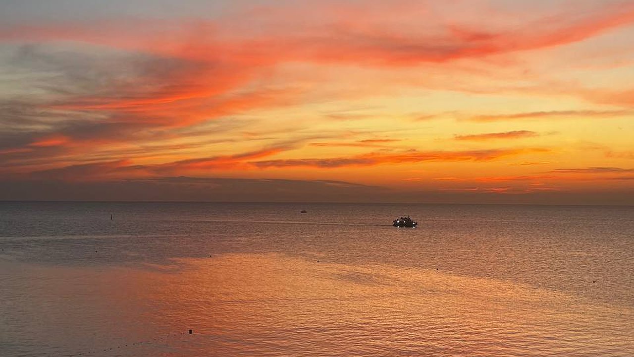 Главная картинка новости: "Агрессивные люди, змеи, грязь и невкусная еда": туристы делятся своим отдыхом в Абхазии