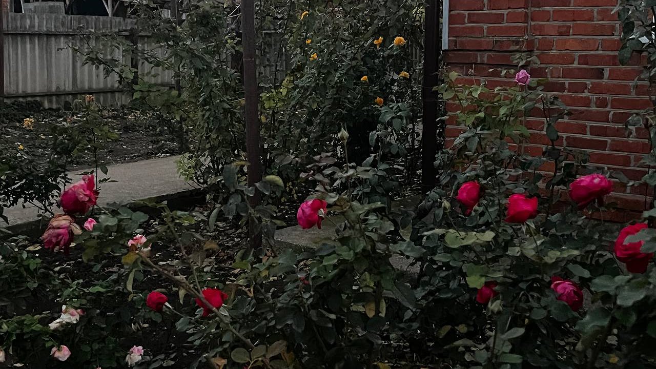 Главная картинка новости: Аномальный апрель не даст заскучать: Синоптики обгародовали точный прогноз на весну 2025 года