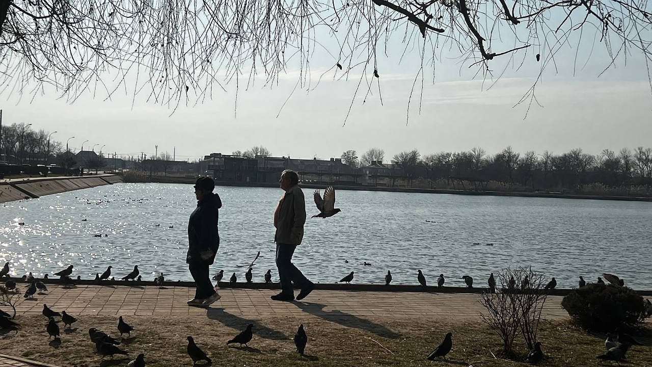 Главная картинка новости: Пенсионную реформу отложили: выход на пенсию в 2025 году по прежним правилам