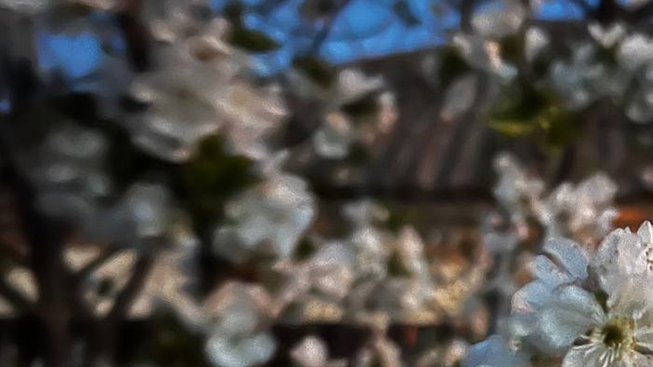 Главная картинка новости: Апрельский рекорд: в Екатеринбурге зафиксирована аномальная жара