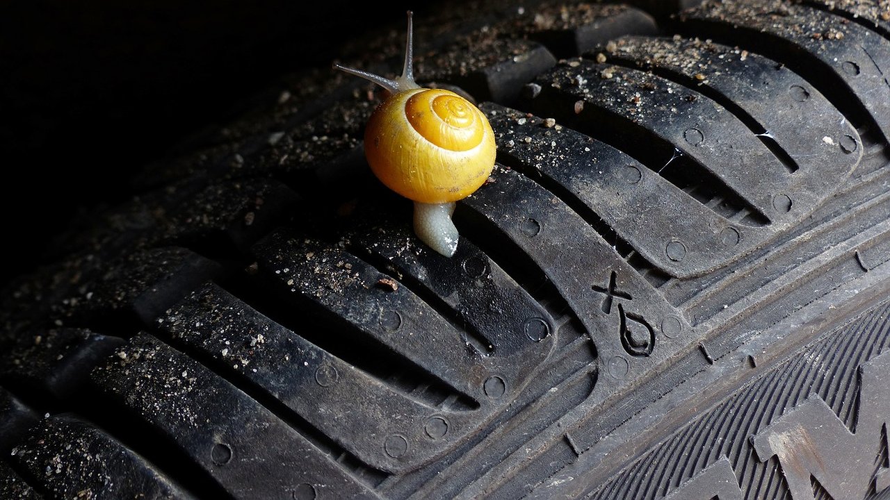 Главная картинка новости: С 4 апреля водителей будут штрафовать за такой тип колес - вот кто первый в списке