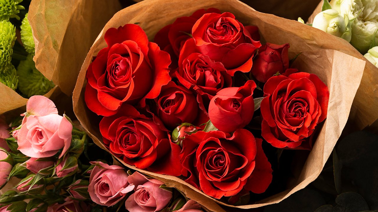 Главная картинка новости: Опасный букет: в Екатеринбурге обнаружили заражённые розы из-за границы