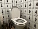 Уходя на работу, закидываю чайный пакетик в унитаз - интересный совет от горничной
