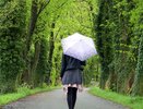 В дождь – безоговорочно: 3 пшика, и брюки останутся чистыми даже в тропический ливень – поделился эксперт