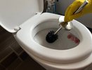 Как дешевый шампунь пара секретных компонентов помогут вам очистить унитаз - станет белоснежным