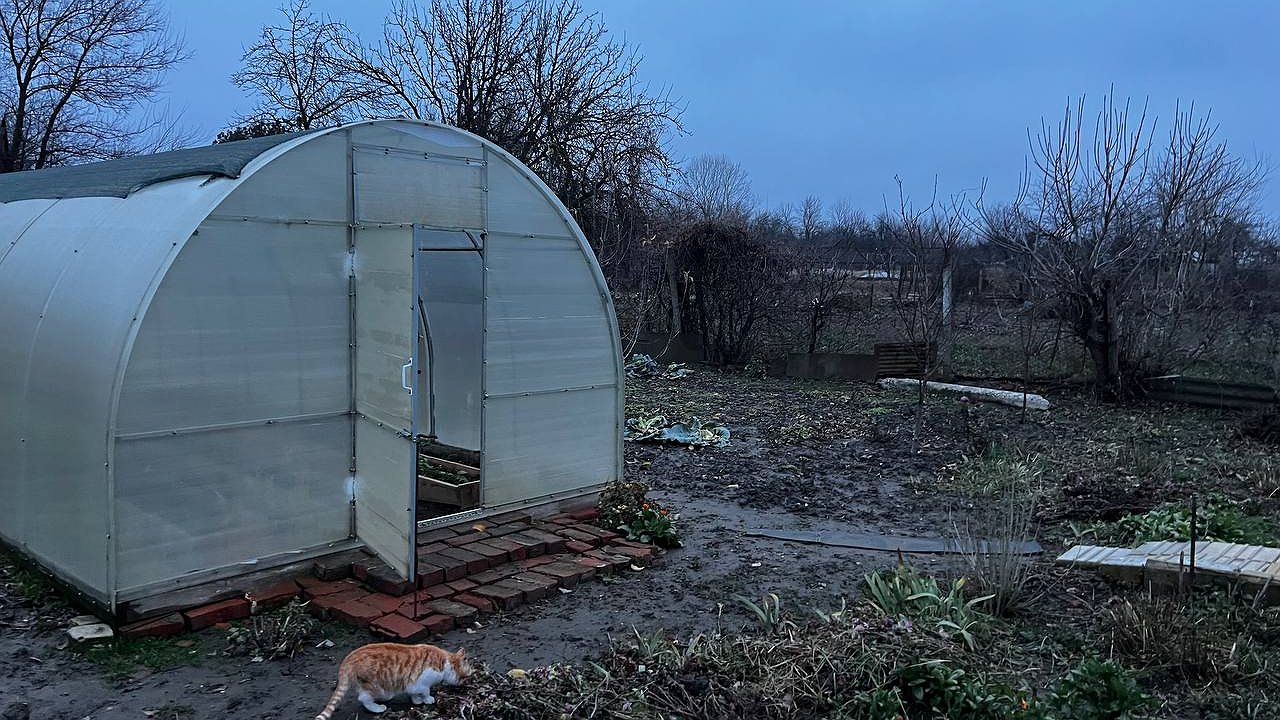 Главная картинка новости: Кроты терпеть не могут этот запах: проверенный способ очистить сад без дикости