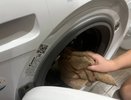 Ушлые хозяйки кладут пакет в стиральную машину и хлопот не знают: вещи после стирки как новые - ни пятен, ни катышков