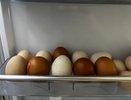 Ни одно яйцо не лопнет в кастрюле, если провернуть этот  лайфхак во время варки