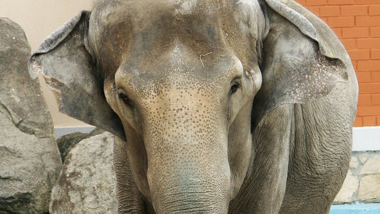 Главная картинка новости: Водители между Екатеринбургом и Пермью терли глаза от удивления