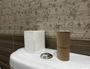 Втулки от туалетной бумаги коплю: вот как их применяю — очень полезная вещь для решения многих проблем
