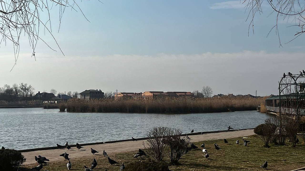 Главная картинка новости: Чистые пляжи без мазута: жительница Черноморского побережья рассказала туристам, где отдохнуть этим летом