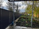 Сорняки исчезнут навсегда: полейте огород таким раствором – результат вас удивит