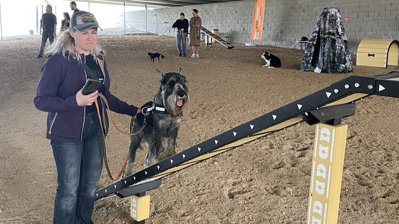 Главная картинка новости: В центре Екатеринбурга открыли площадку с тренажёрами для собак