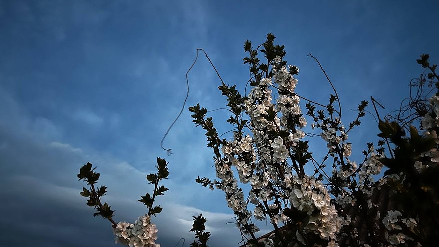 Главная картинка новости: Синоптики рассказали печальный прогноз на лето: июль и август будут просто ужасными