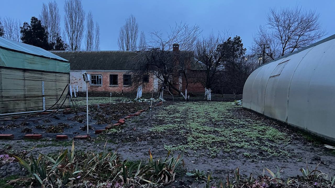 Главная картинка новости: Копеечная крупа, а пользы — как от целой фуры удобрений: разбрасываю пачку по огороду и земля как чернозём — навоз больше не понадобится