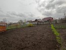 2 жмени на сорняки — и они падут замертво: от одуванчиков и пырея даже духу не будет на вашем участке