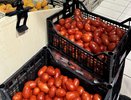Перед высадкой в грунт 5 ложек — крайне важно для томатов: мясистее и вкуснее помидоров в жизни не ели — мука, но не пекарская