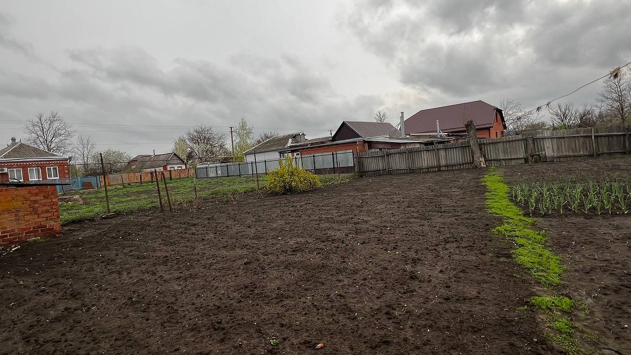 Главная картинка новости: Сорняки завянут все мигом: разведите 1 стакан на ведро и полейте вечером — свой огород ни за что не узнаете