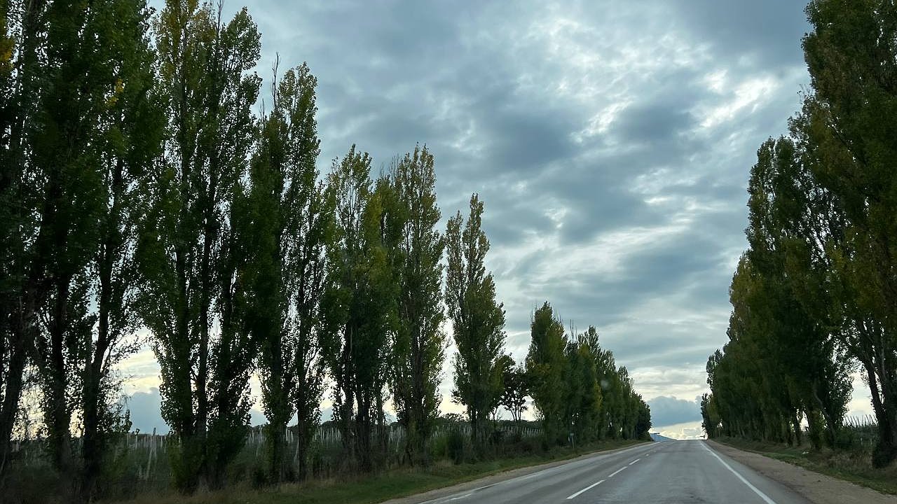 Главная картинка новости: «Июнь, июль и август будут аномальными». Синоптики обновили прогноз на лето