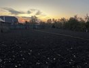 Соседи раньше хохотали, а теперь тоже так делают: как пакет с водой спасет ваш урожай от вредителей