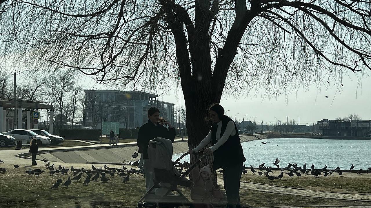 Главная картинка новости: В Свердловской области в два раза упала рождаемость