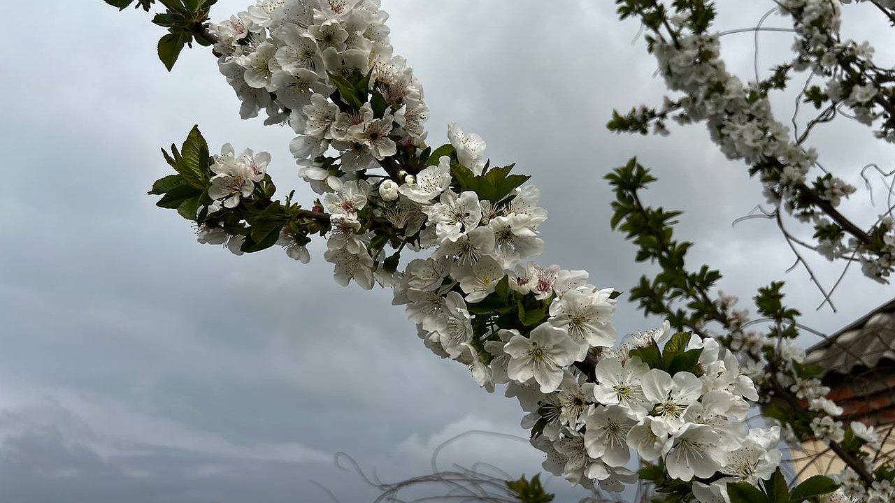 Главная картинка новости: Июнь в Екатеринбурге: жара с первых дней и затяжные дожди на подходе