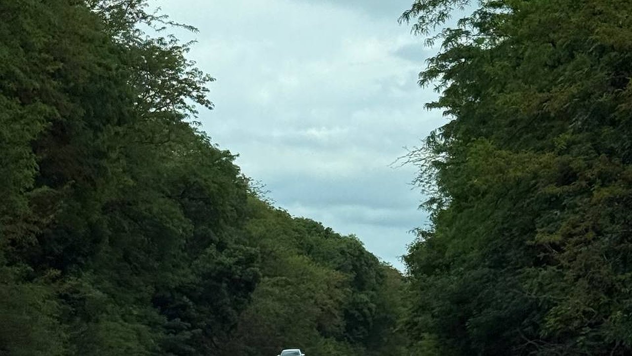 Главная картинка новости: Начиная с 15 июня, ГАИ начнет поголовно штрафовать всех водителей на 800 рублей за отсутствие этого документа в бардачке