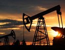 В Ивдельском районе нашли запасы нефти