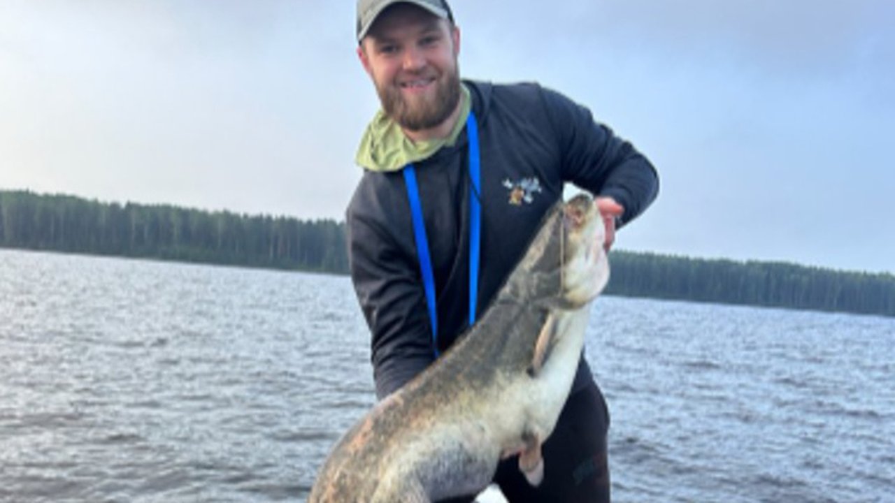 Главная картинка новости: Свердловские рыбаки выловили сома размером с человека