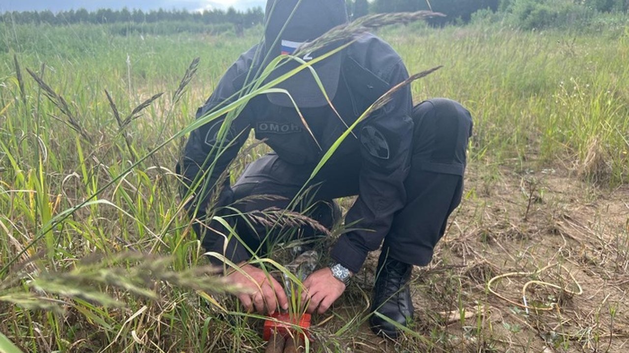 Главная картинка новости: Под Нижним Тагилом в огороде нашли боевые гранаты времен Гражданской войны