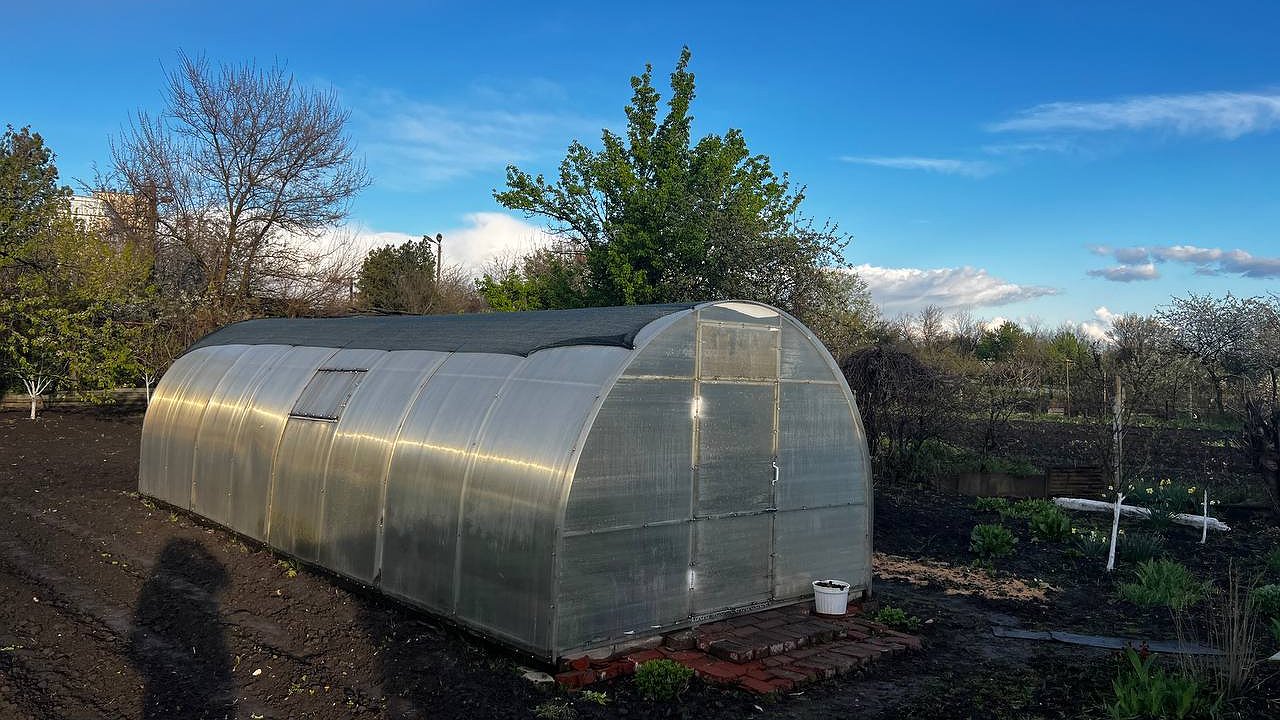 Главная картинка новости: Огородники, эти овощи и зелень успеют вырасти до осени - что посеять в конце июля