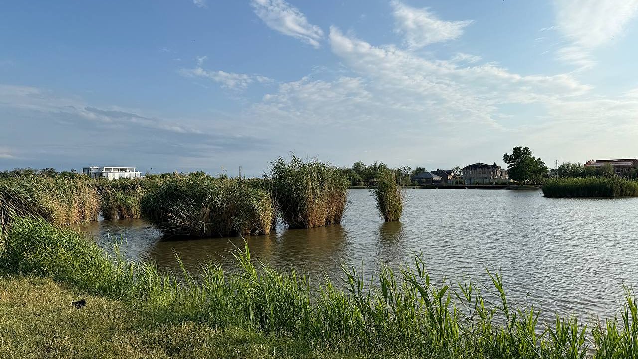 Главная картинка новости: Собачий холод, ливни и грозы: синоптики дали новый прогноз на ближайшие дни