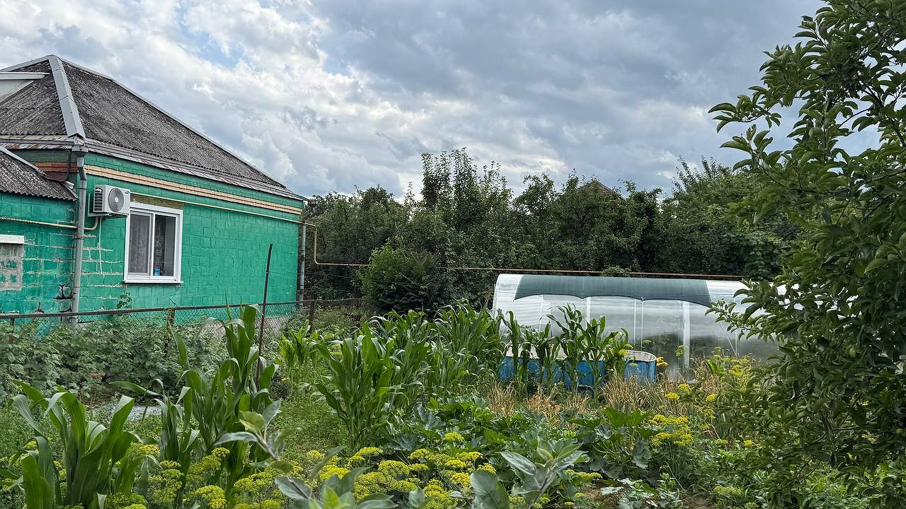 Главная картинка новости: Раскидываю 1 пачку копеечной крупы по грядкам - земля как чернозём. Дорогой навоз больше не потребуется